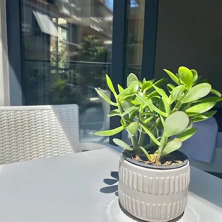 Apartman Jasmin 3 Alanya